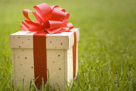 gift