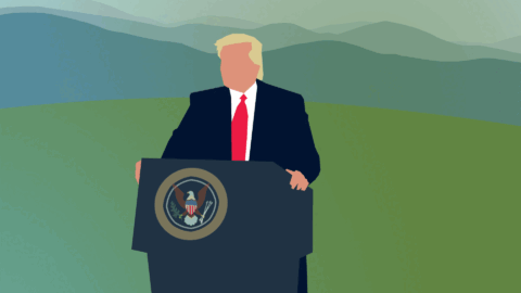 Donald Trump, the Disease President Donald Trump, the Disease President